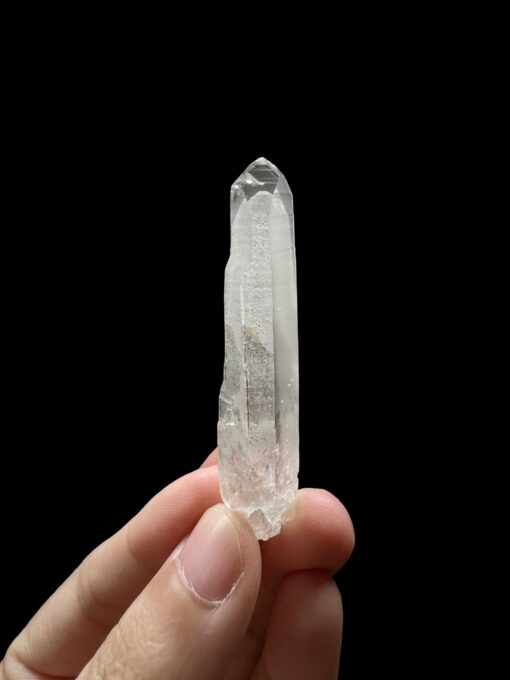 BLM5107 Brazilian Lemurian 1