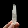 BLM5107 Brazilian Lemurian 1