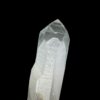 BLM5107 Brazilian Lemurian 2