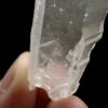 BLM5107 Brazilian Lemurian 4