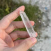 BLM5107 Brazilian Lemurian 6