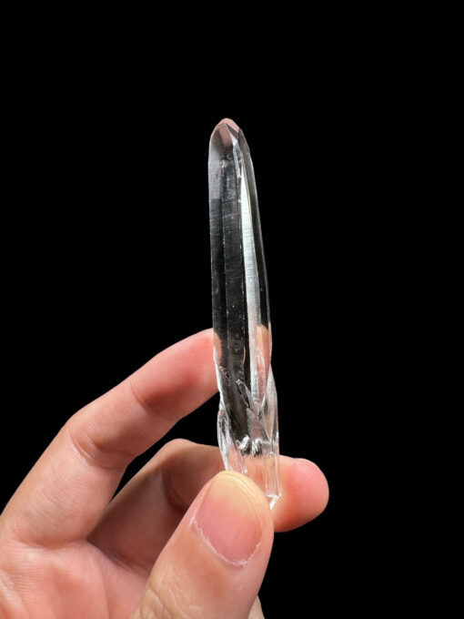 Brazilian Lemurian BLM4607 - 1