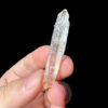 COLM67 Colmobian Lemurian 1