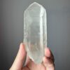 BLM2001 Brazilian Lemurian 1