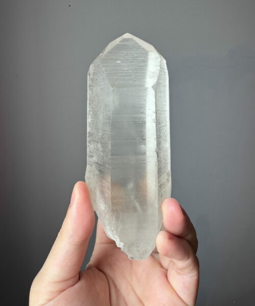 BLM2001 Brazilian Lemurian 1