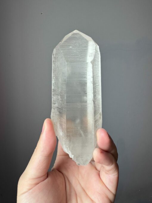 BLM2001 Brazilian Lemurian 1