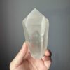 BLM2001 Brazilian Lemurian 2