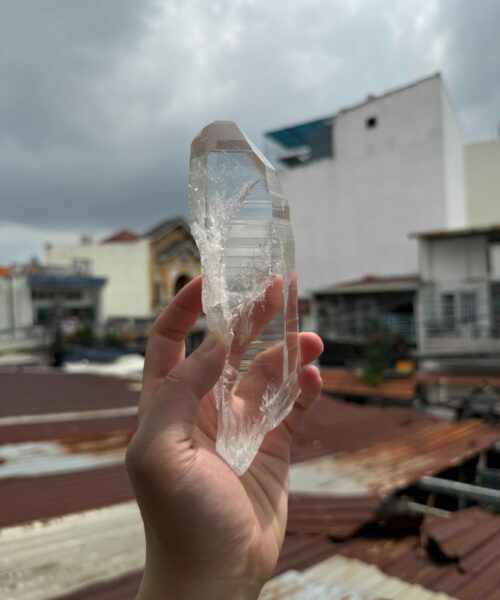 BLM4002 Brazilian Lemurian 2
