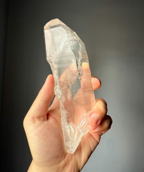 BLM4002 Brazilian Lemurian 1