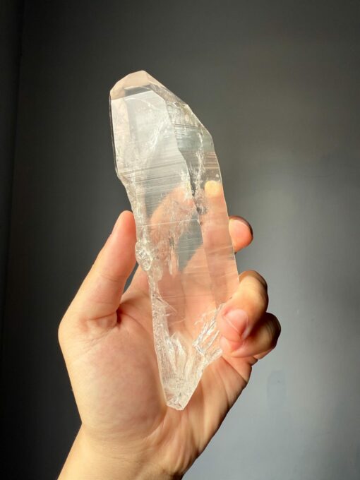 BLM4002 Brazilian Lemurian 1