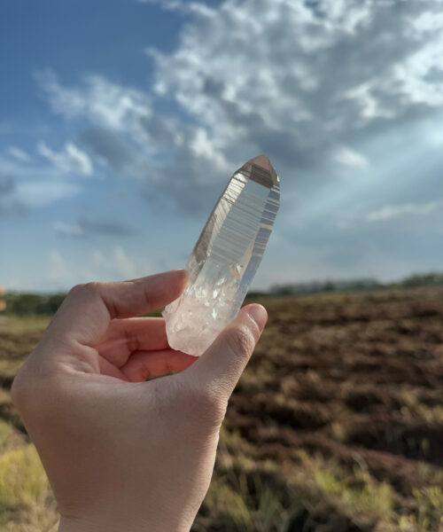 BLM5102 Brazilian Lemurian 2