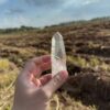 BLM5102 Brazilian Lemurian 3