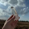 BLM5102 Brazilian Lemurian 1