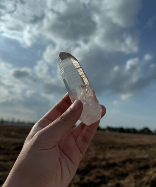 BLM5102 Brazilian Lemurian 1