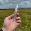 BLM5104 Brazilian Lemurian 2