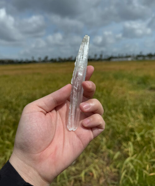 BLM5104 Brazilian Lemurian 2