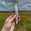BLM5104 Brazilian Lemurian 1
