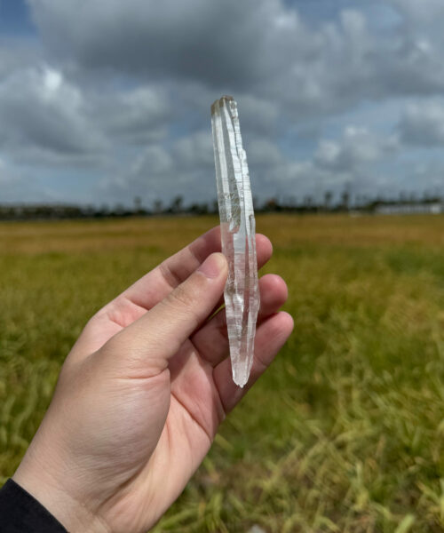 BLM5104 Brazilian Lemurian 1