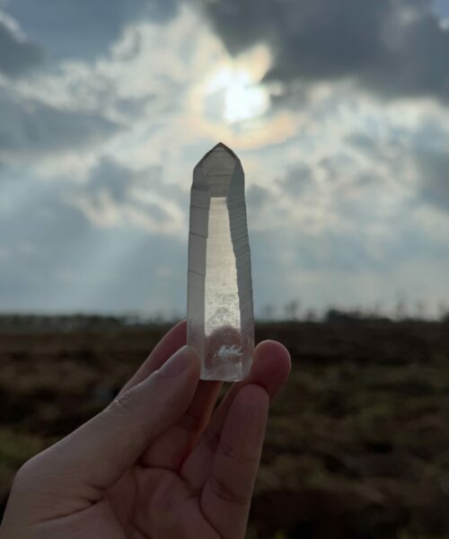 BLM5106 Brazilian Lemurian 2