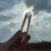 BLM5106 Brazilian Lemurian 4