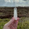 BLM5106 Brazilian Lemurian 1