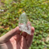 COLM2051 Colombian Lemurian 1