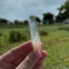 COLMGB3 Golden Healer Blue Smoke Lemurian 1