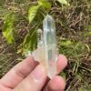 COLMG2503 Golden Healer Lemurian 4