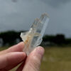 COLMG2503 Golden Healer Lemurian 1