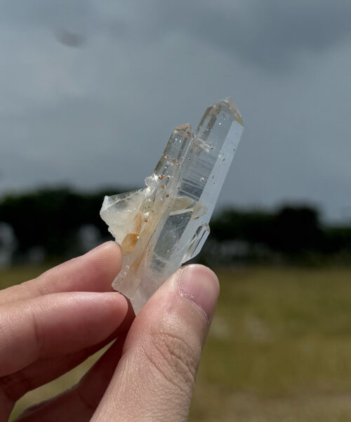 COLMG2503 Golden Healer Lemurian 1