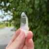 COLM2505 Colombian Lemurian 3