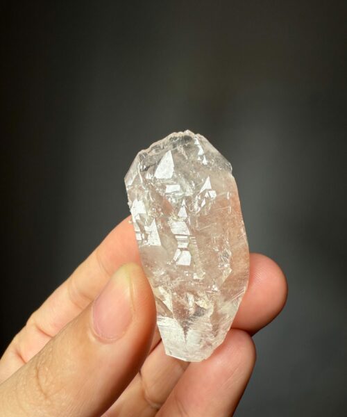COLM2506 Colombian Lemurian 2