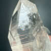 COLM2506 Colombian Lemurian 3