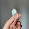 COLM2506 Colombian Lemurian 1