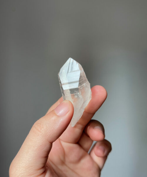 COLM2506 Colombian Lemurian 1