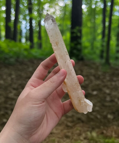 COLMGB-2508 Golden Healer Blue Smoke DNA 1