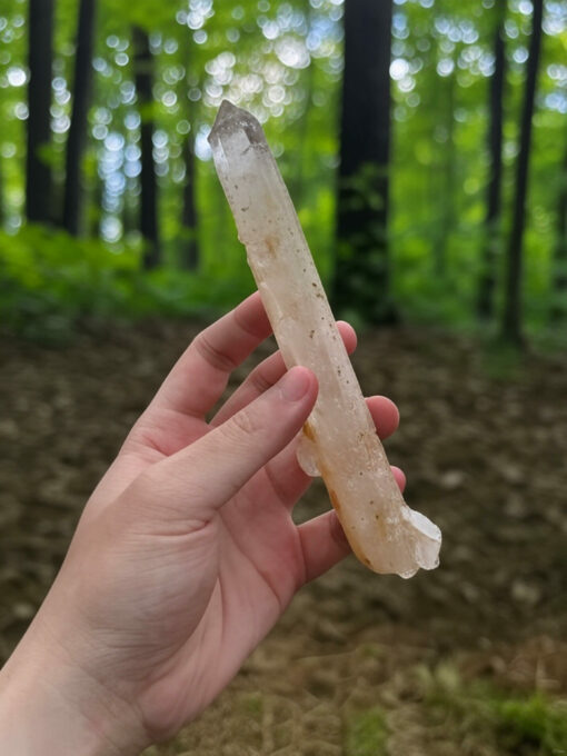 COLMGB-2508 Golden Healer Blue Smoke DNA 1