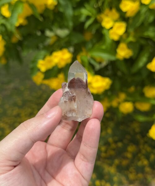 SSPT-2511 Sunset Phantom Quartz 2
