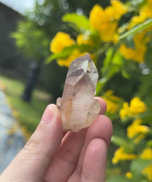 SSPT-2512 Sunset Phantom Quartz 2