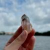 SSPT-2512 Sunset Phantom Quartz 1