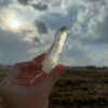 Brazilian Lemurian BLM5102 - 4