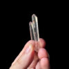 COLM-2513 Colombian Lemurian 1