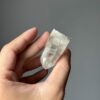 LMV-2515 Vietnamese Lemurian 2