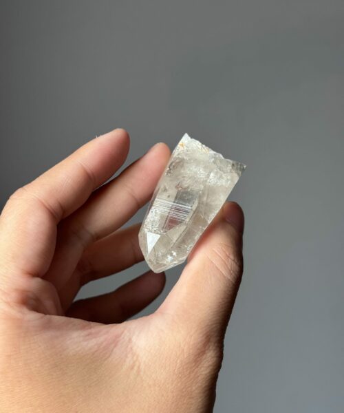 LMV-2515 Vietnamese Lemurian 2