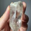LMV-2515 Vietnamese Lemurian 5