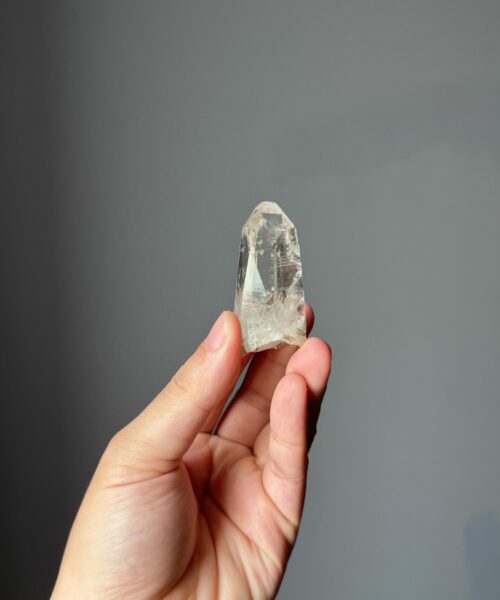LMV-2515 Vietnamese Lemurian 1