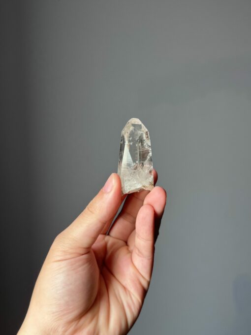 LMV-2515 Vietnamese Lemurian 1