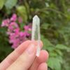 Lemurian-COLM-2504-5