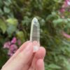 Lemurian-COLM-2504-6