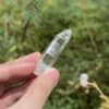 Lemurian-COLM-2504-7